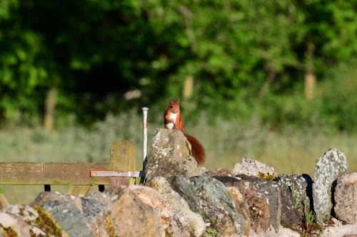 Bodorgan House | Carrog Barn