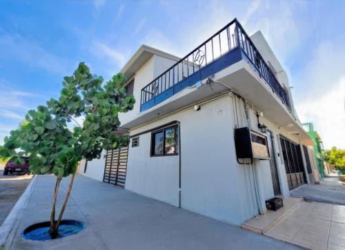 La Paz House | Casa Arbol