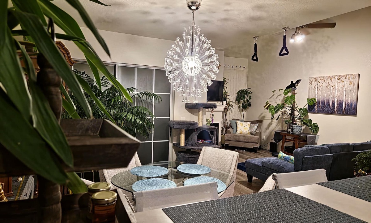 Westminster House | Casa de gato