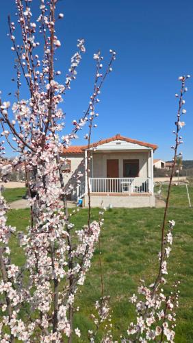 Cubillo del Cesar House | Casa de Lara