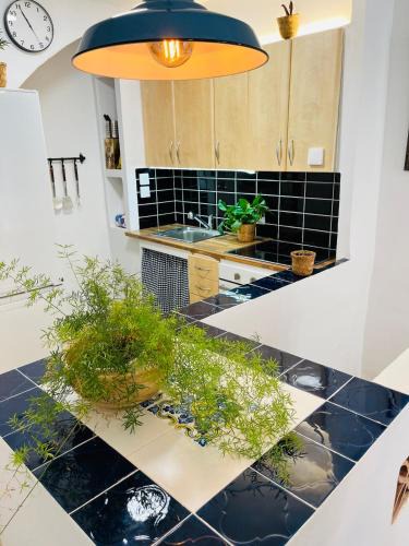 Monistrol de Montserrat House | Casa de pueblo en el centro
