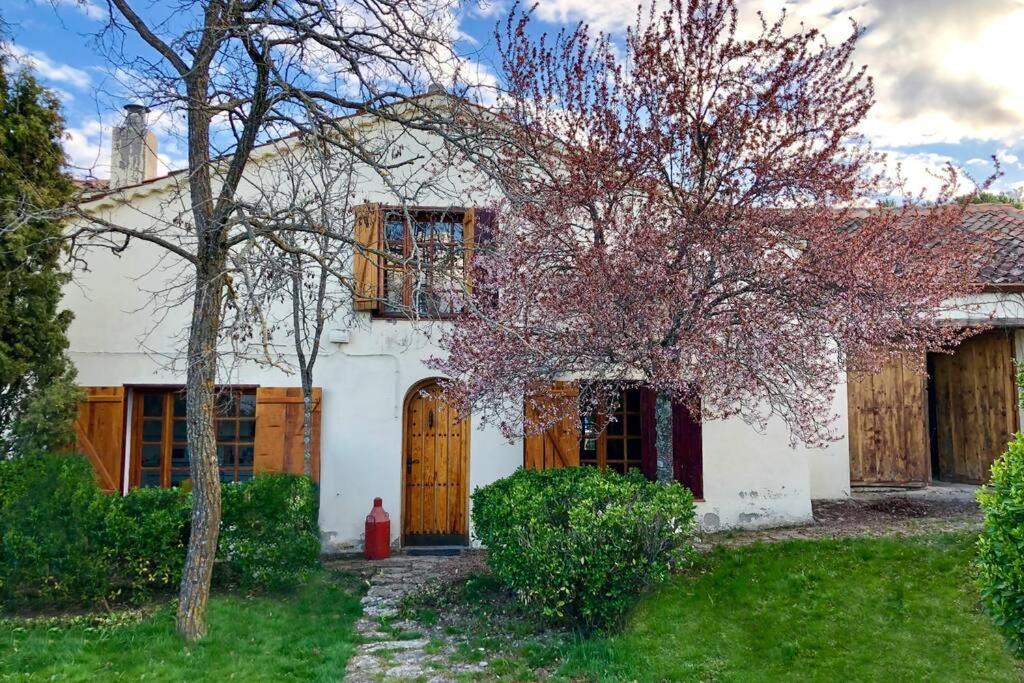 La Salceda House | Casa del Río