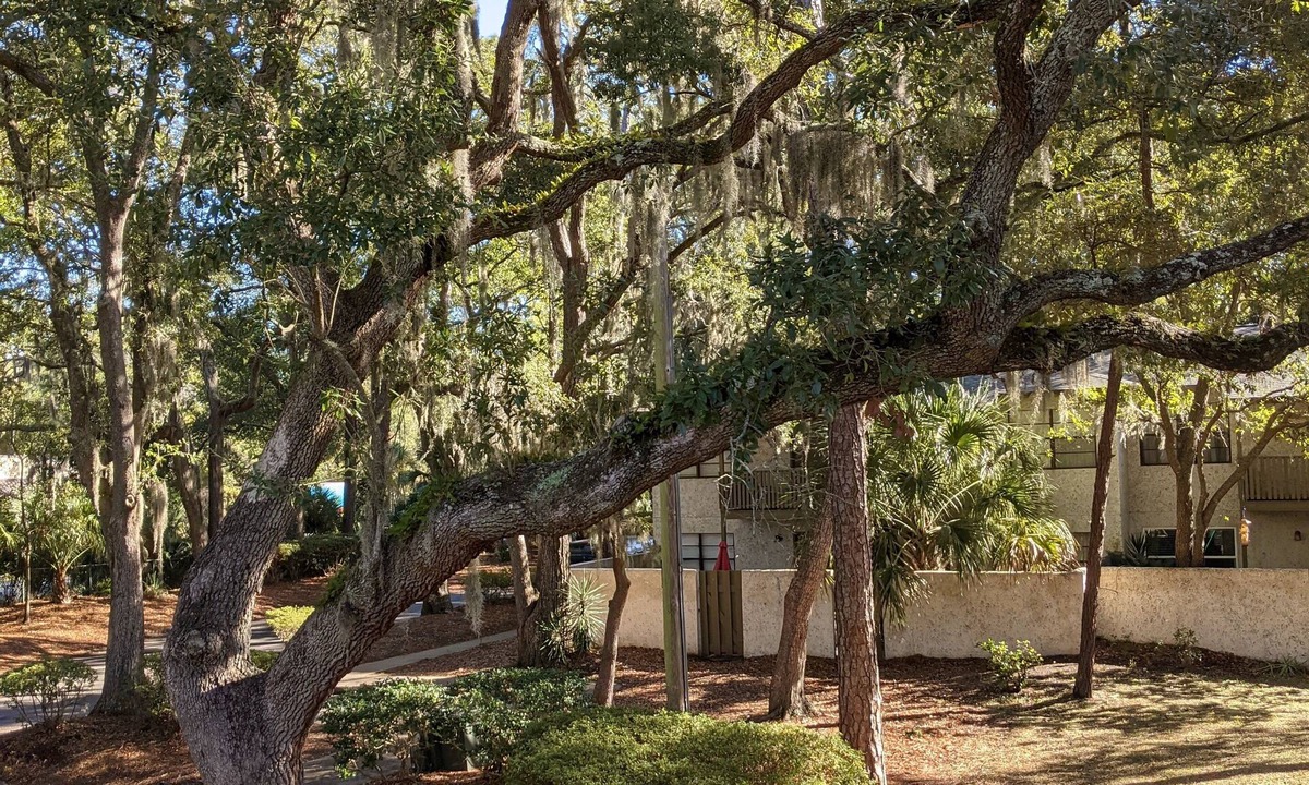 Palmetto Dunes Condo | Casa Gabriela no pet fees