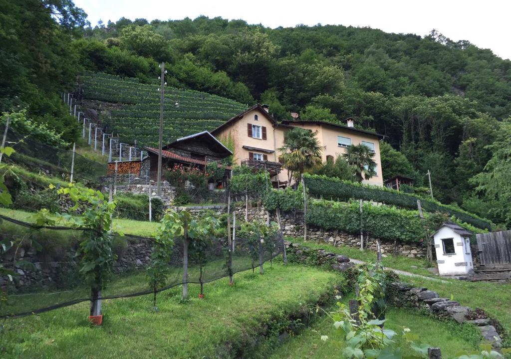Roveredo Apartment | Casa immersa nel vigneto