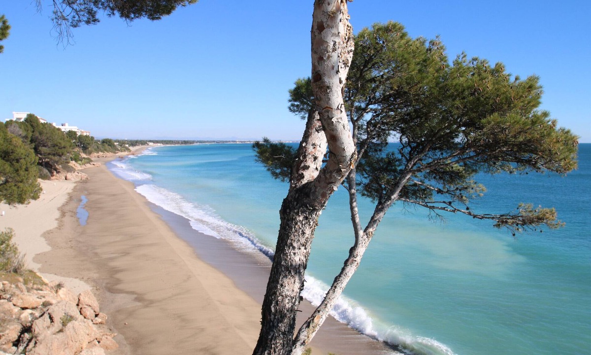 Parc de Mont-roig House | Casa Kiwi, Parc Mont-roig