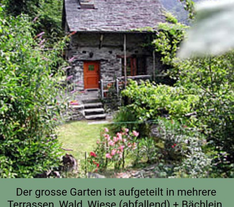 Mergoscia House | Casa Larice