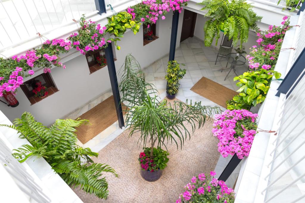 San Lorenzo Apartment | Casa Los Cuatro Soles