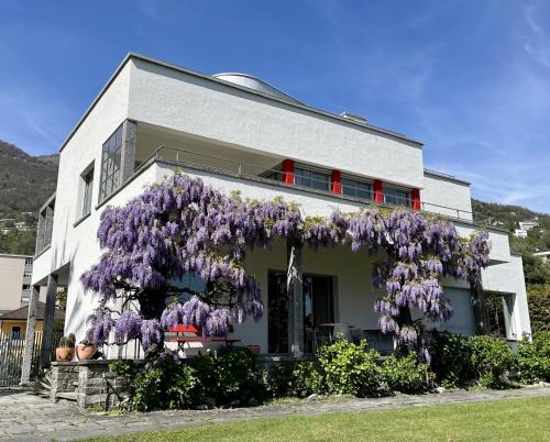 Minusio House | Casa Navegna