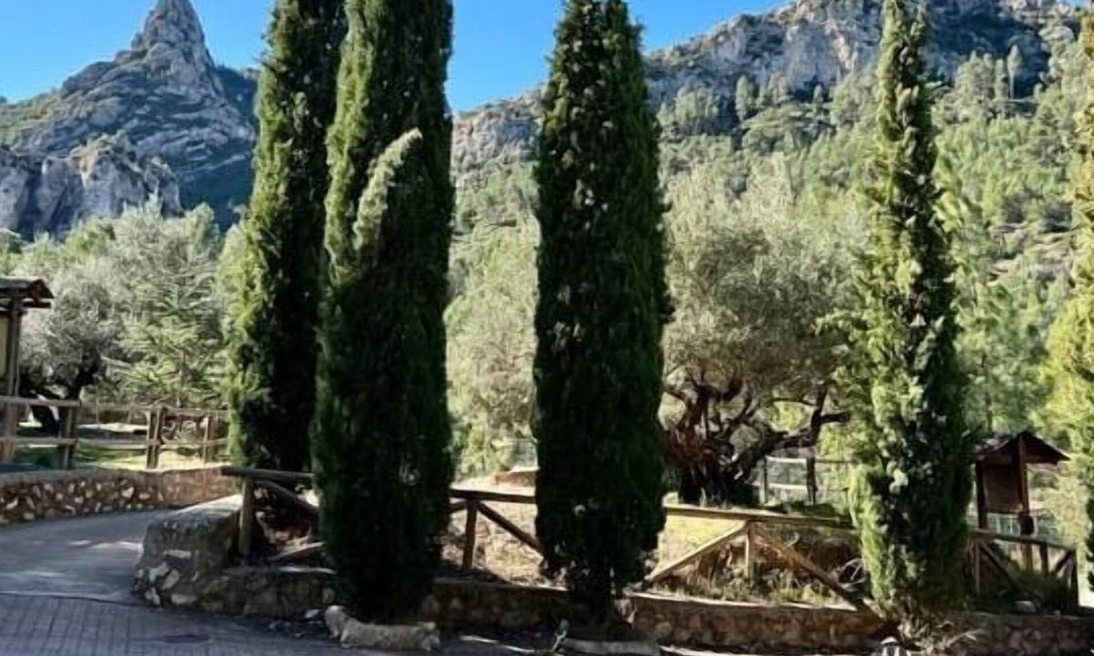 Vallada House | Casa Peseta. Casa Rural
