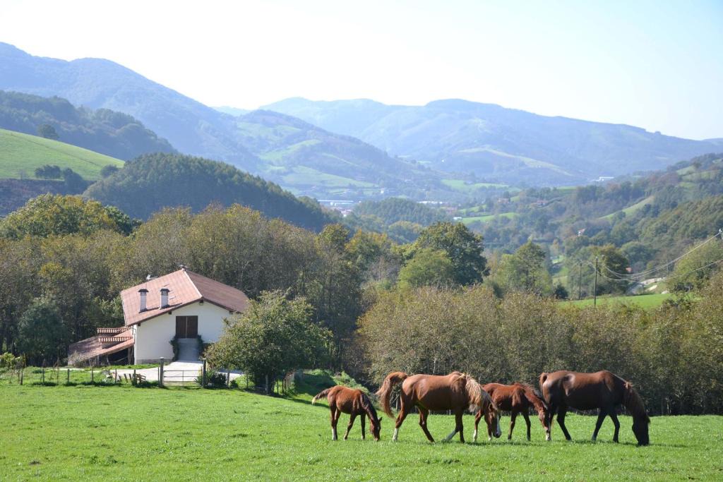 Leitza House | CASA RURAL Arriaran