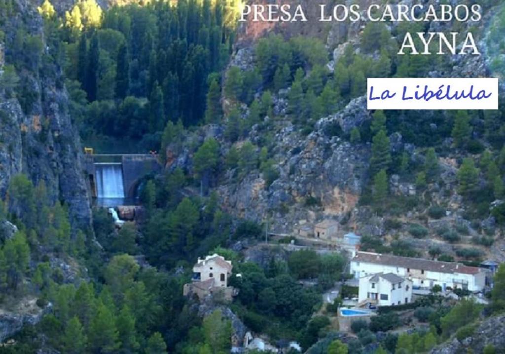 Ayna House | Casa rural La Libelula Ayna