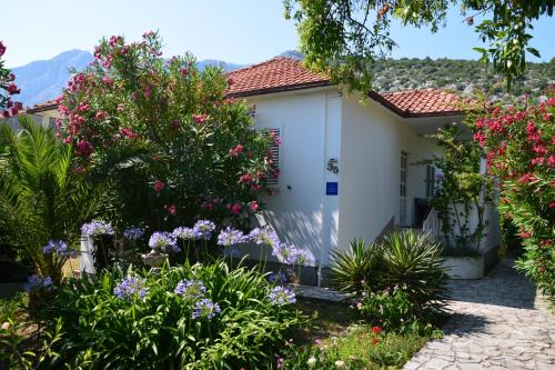 Stankovici House | Casa Svjetlana