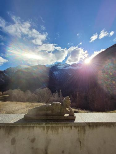 Campo House | Casa Viola