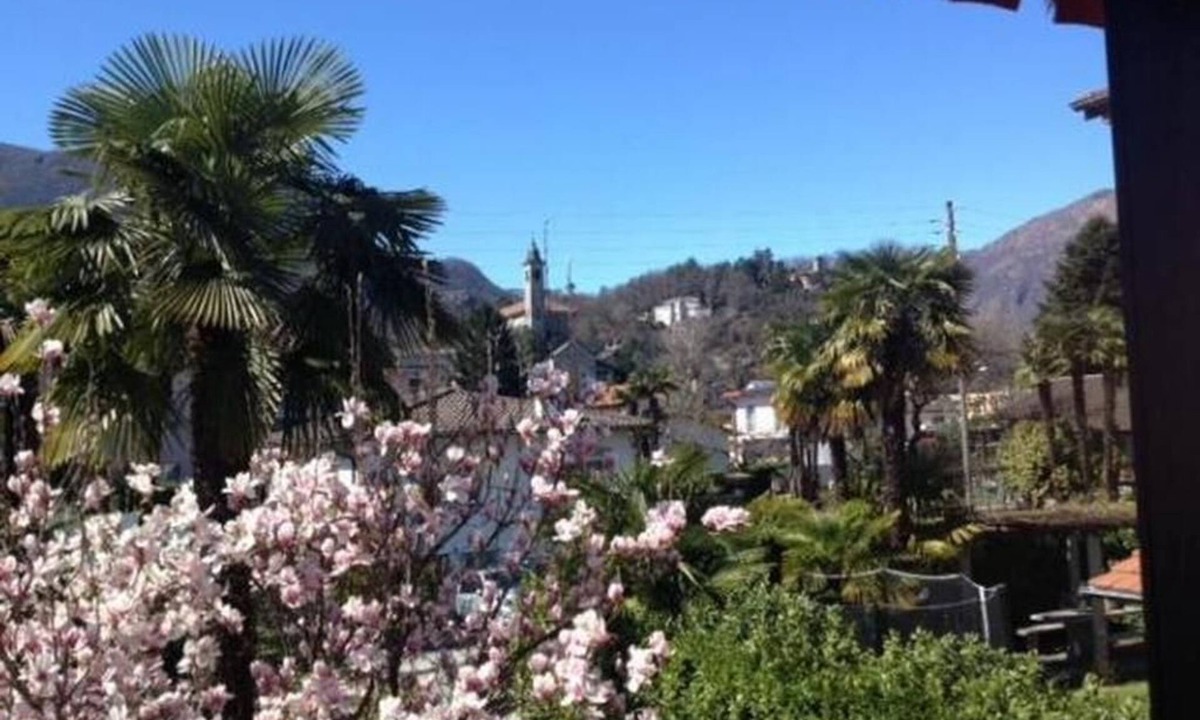 Losone Apartment | Casa Viola panorama flat 1st floor