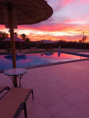 Elche House | casadelfenix