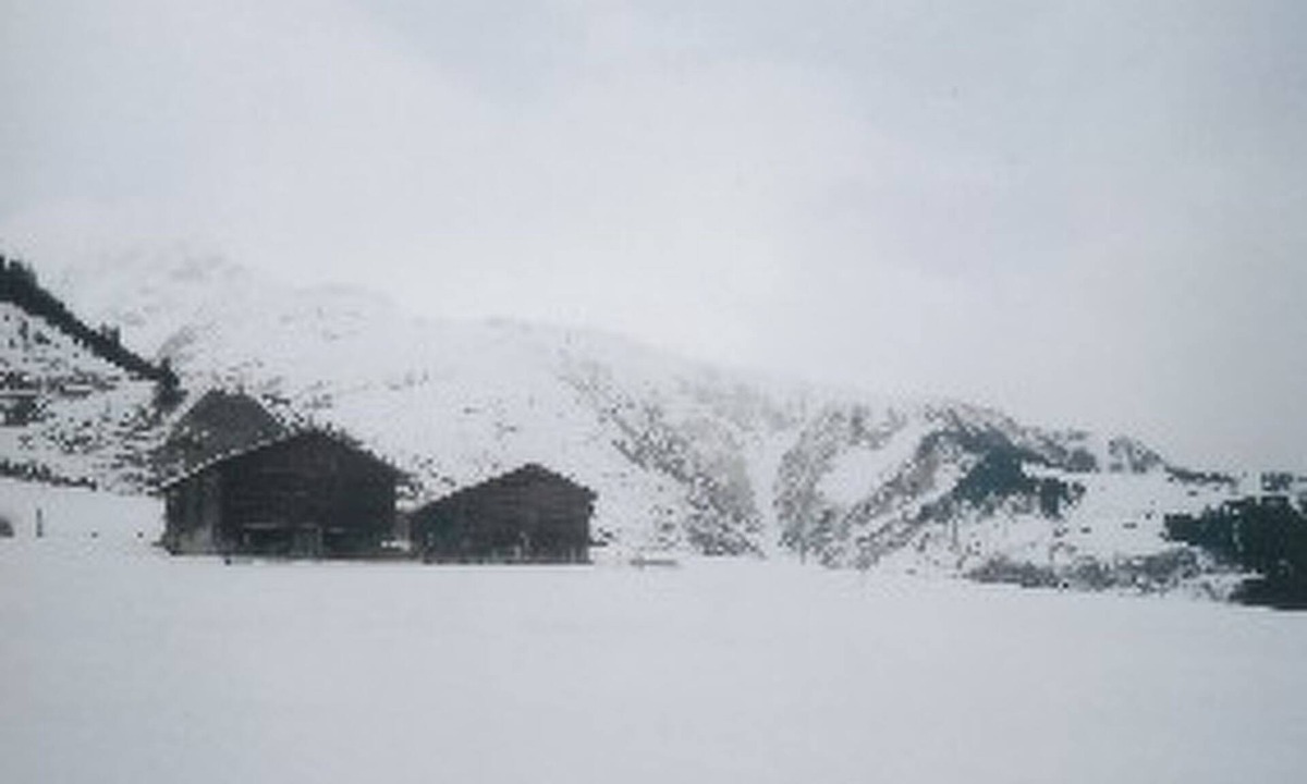 Tujetsch Apartment | Cascharolas Bellingreri, (Rueras/Sedrun). by Interhome