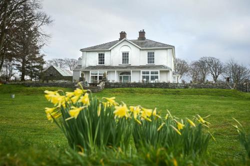 Bontnewydd Villa | Castellmai