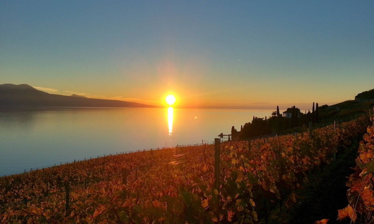 Chardonne Apartment | Castle In The Vineyards - flat for 2
