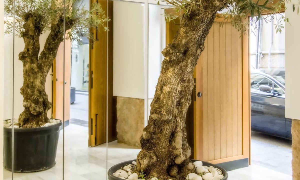 La Xerea Apartment | Catalina Suites Downtown Valencia