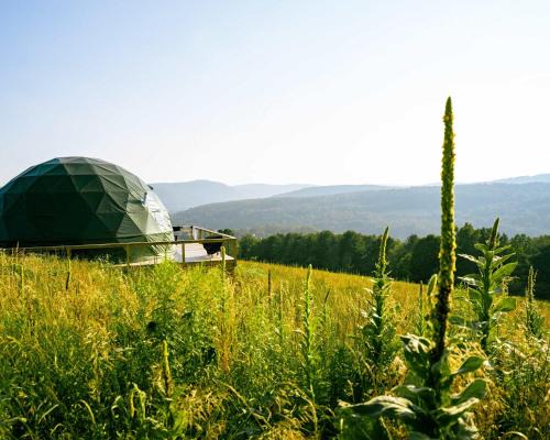 Franklin House | Catskills Glamping at 'The Deer Dome' in Franklin