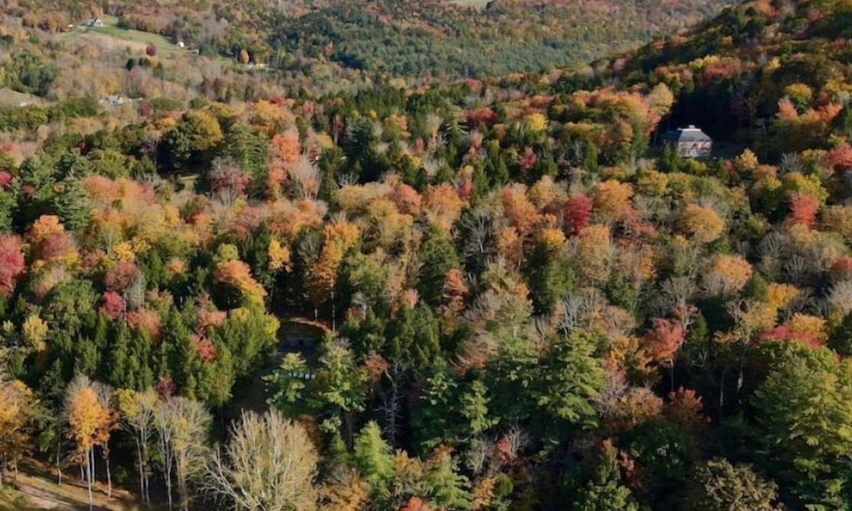 Arkville Apartment | Catskills Hideaway - West