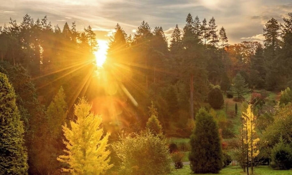 Cranbrook Cabin | Cedar Cabin Overlooking Bedgebury Forestnn