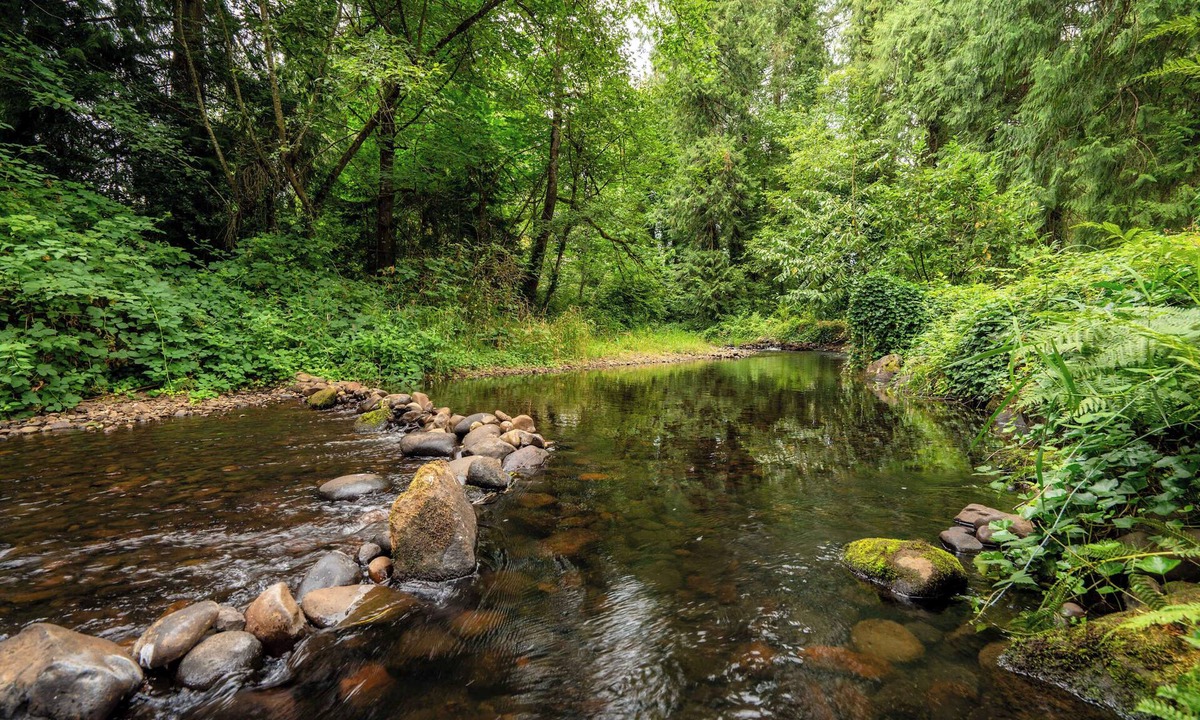 Sandy Cabin | Cedar Creek Cabin Mt Hood Access Peaceful