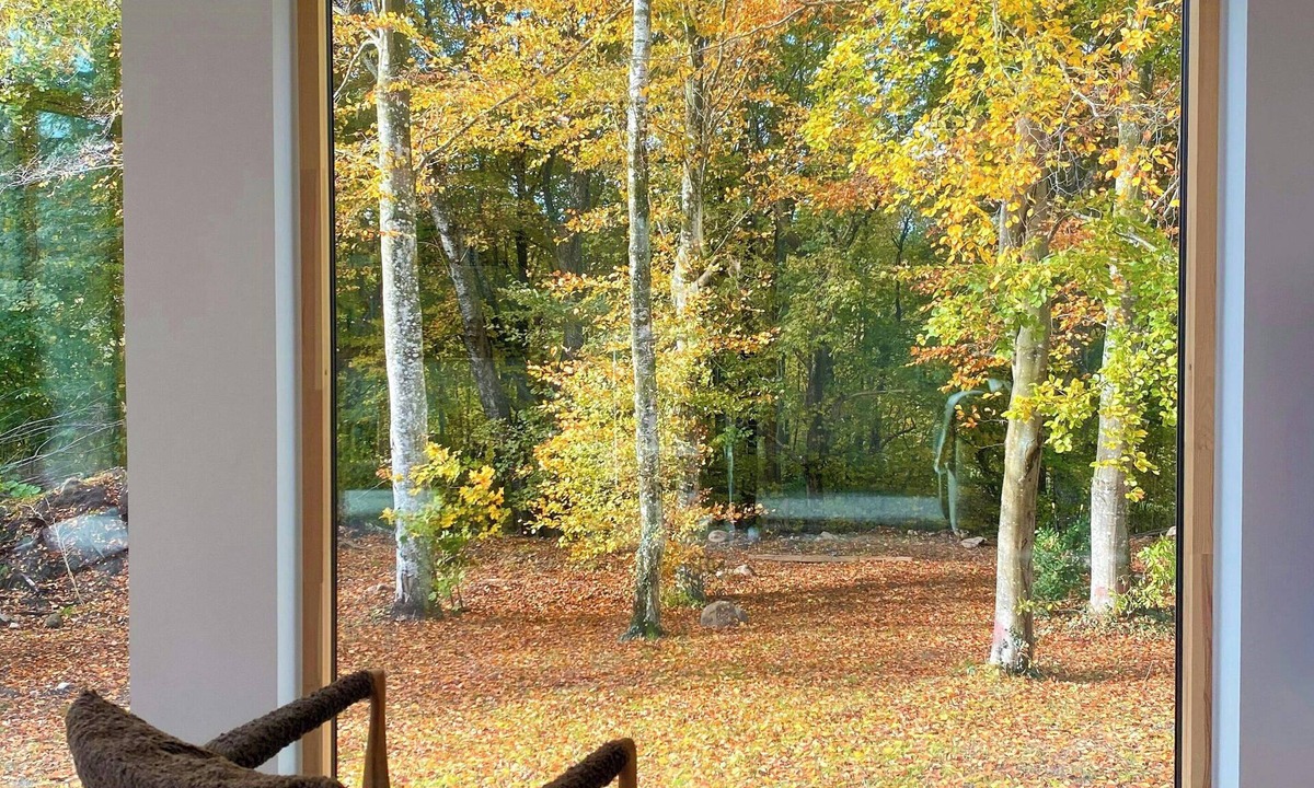 Mariager House | Cedar house on 3000 m² forest plot in Mariager