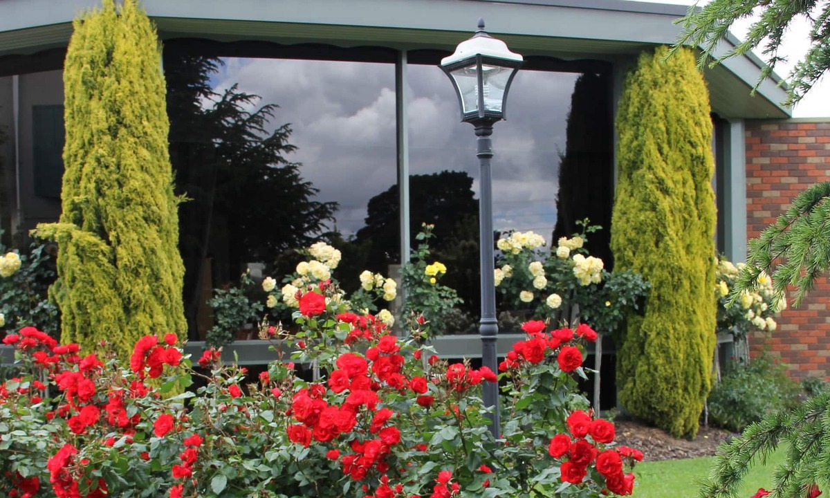 Morwell Hotel | Cedar Lodge Motel Morwell