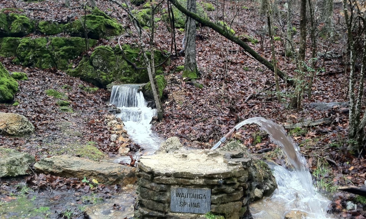 Saffell Cabin | Cedar log cabin overlooking spring-fed ponds with waterfalls at Wautauga Springs