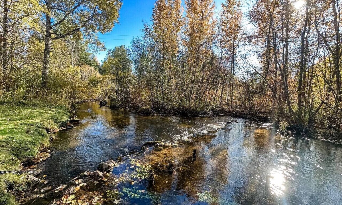 Harrison House | Cedar River Home-Pet Friendly!