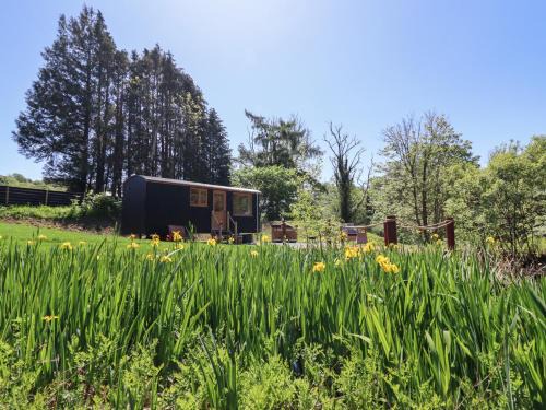 Llanelltyd House | Celyn