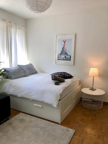 Downtown Geneva Apartment | Central Geneva Studio with free Travel Pass