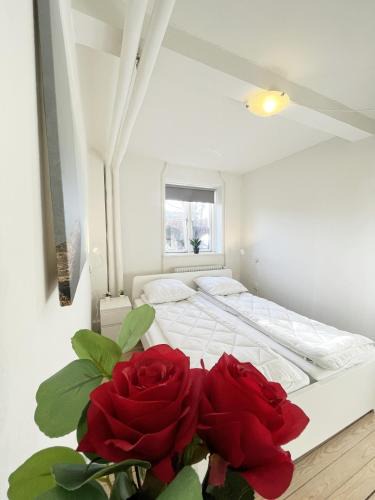 Aalborg Municipality House | Central Large Double Room with free parking