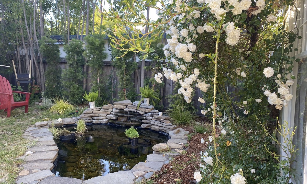 San Rafael House | Centrally located charming Victorian