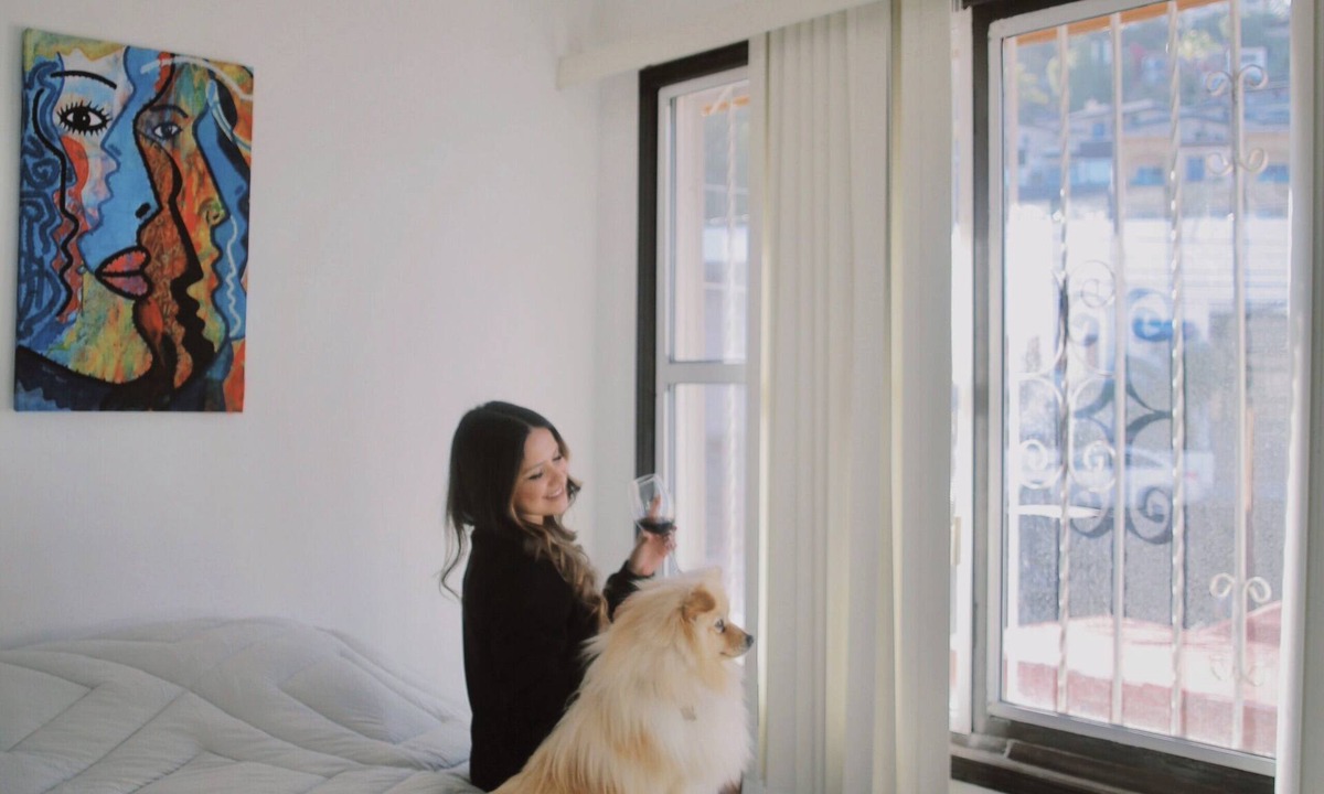 Zona Centro Apartment | Centrico Loft en Centro Historico