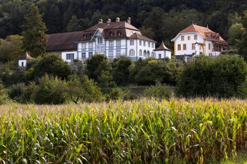Marnand Apartment | Château de Marnand - Duplex à la ferme