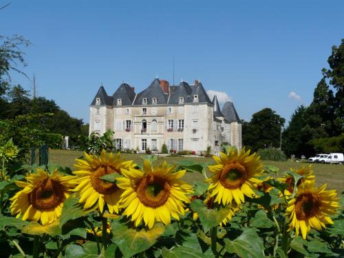 Dange-Saint-Romain Bed & Breakfast | Château de Piolant