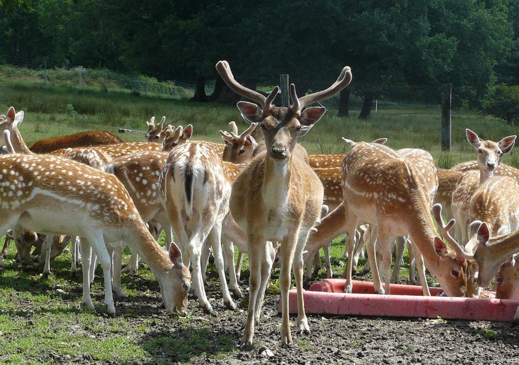 Saint-Maixant Bed & Breakfast | Château De Saint-Maixant