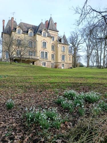 Vatan Bed & Breakfast | Château de Villechauvon