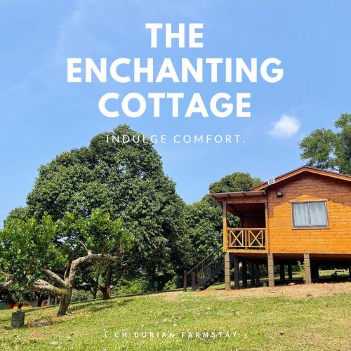 Cheng House | CH Durian Farmstay