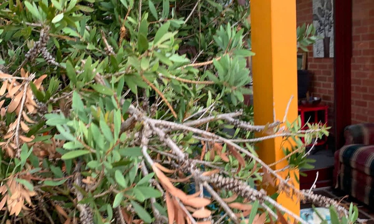 Huntingdale House | Chadstone Holiday W6 Villa