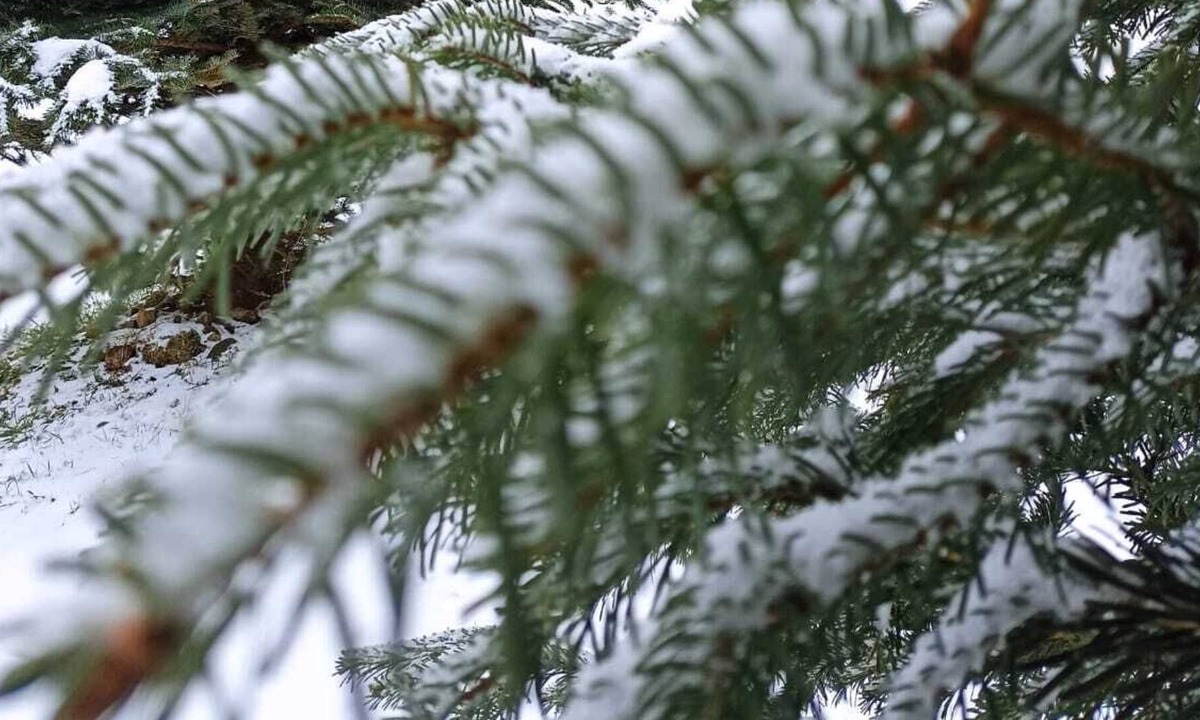 Aulus-les-Bains Ski Chalet | Chalet à 200m des Thermes
