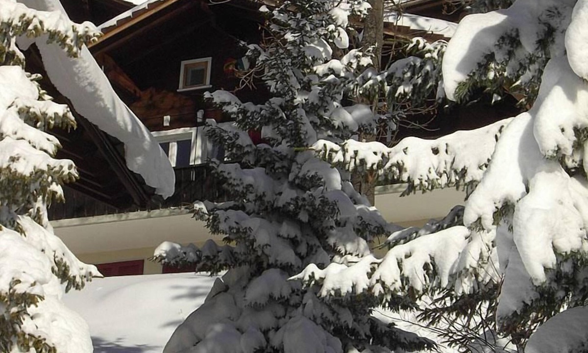 Hasliberg Wasserwendi Ski Chalet | Chalet Abigrot 4-bed flat