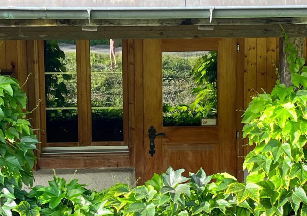 Wiler Ski Chalet | Chalet ALPEN LOTUS