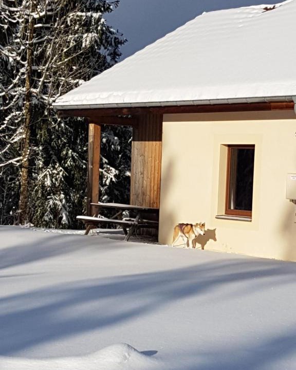 Chapelle-des-Bois House | Chalet Beaujon Chapelle-des-Bois