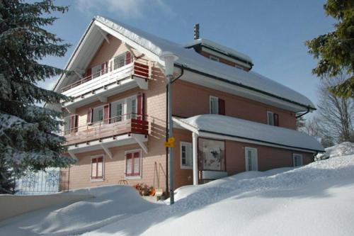Rigi Kaltbad Apartment | Chalet Bergli