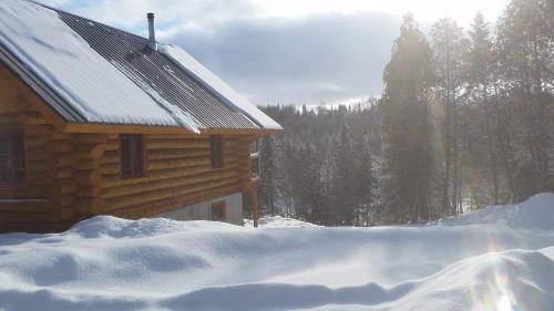 Lac-aux-Sables Ski Chalet | Chalet bois rond aux paysages uniques avec Spa !