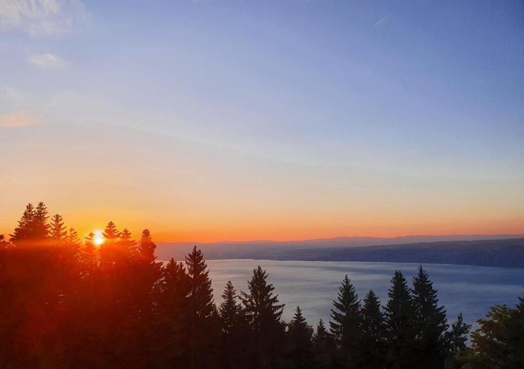 Thollon-les-Memises Ski Chalet | Chalet Chalon