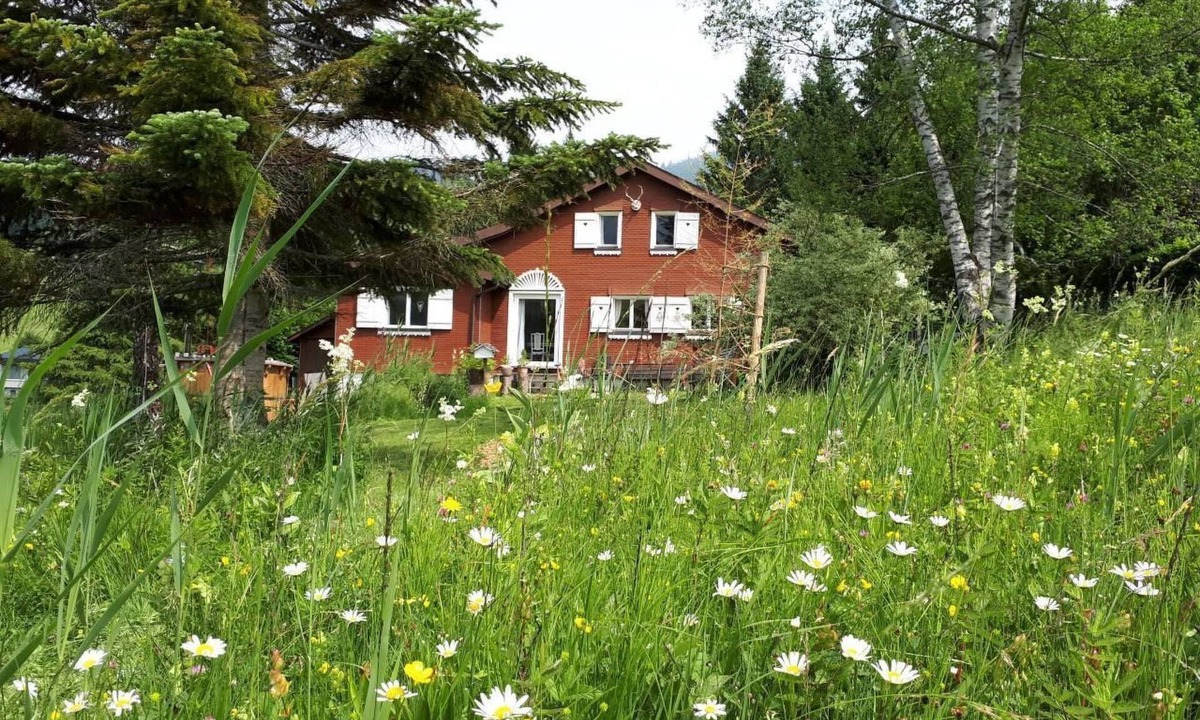 Wildhaus House | Chalet Chic+Hot Pot by Interhome
